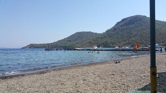 Leo Beach Aktur