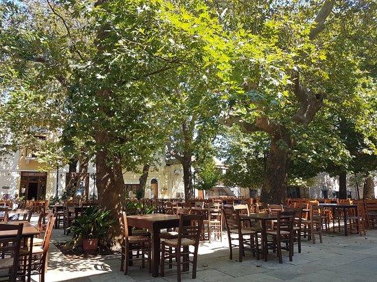 Taverna Drosia