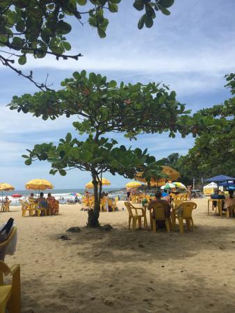 Quiosque Da Tia Albertina