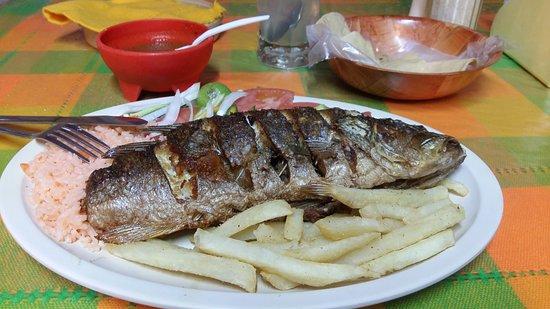 Restaurant Lupita