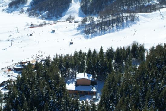 La Pinetina