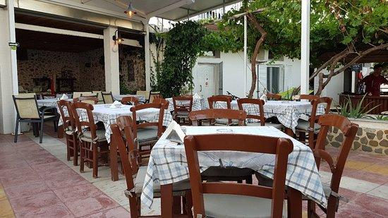 Acrogiali