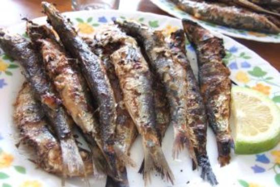 Kritikos
