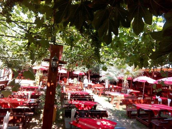 Restorant Rubin