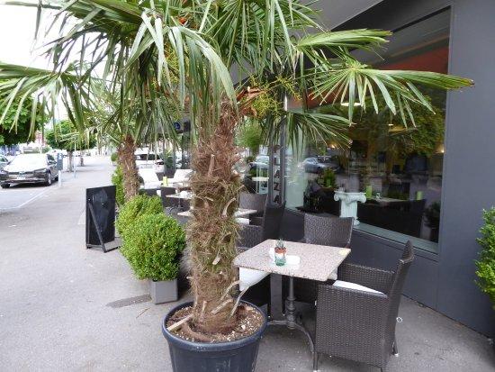 Café Plaza