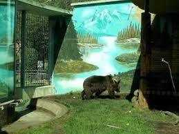 Tierpark Bad Kösen
