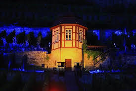 Herzoglicher Weinberg visitor vineyard