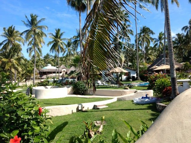 Campamento Tortuguero Sayulita
