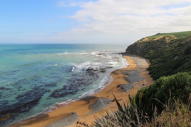 Bushy Beach Scenic Reserve
