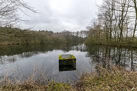 die Kipshagener Teiche