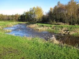 De Beerze