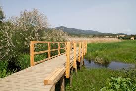 Etang De Tanchiccia