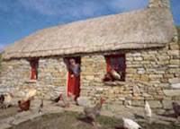 Dan O'Hara's Homestead Farm