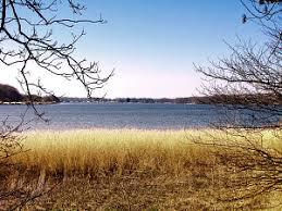 Bistensø