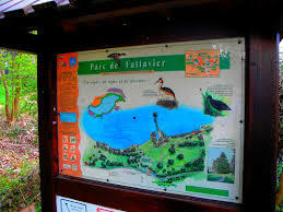 Étang de Fallavier
