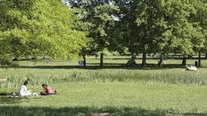 Parc des Marmousets