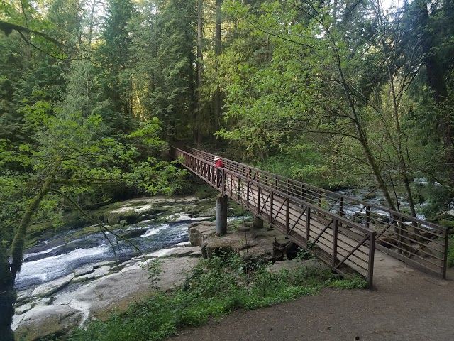 Lacamas Park