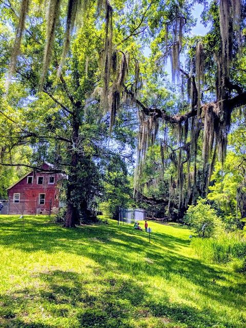 Camp Salmen Nature Park