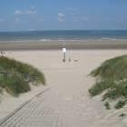 Zwarte Gat