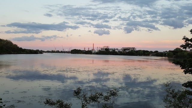 Mystic River State Reservation