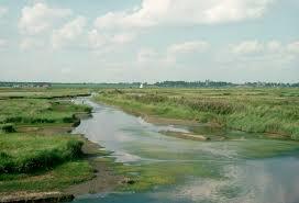 RSPB Havergate Island