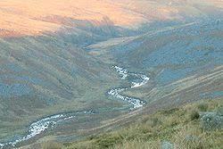 Afon Twrch