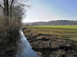 Uedemer Hochwald