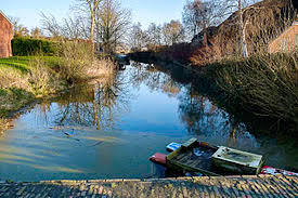 Meedstermaar