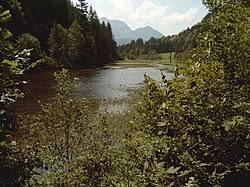 Wiesensee