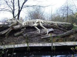 Nature Adventure Path