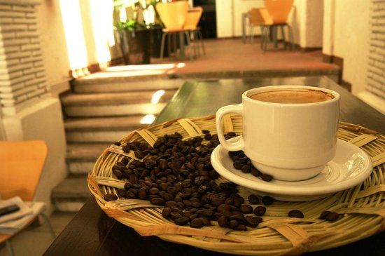 Jaguar Yuú Café