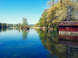 Bettenauer Weiher