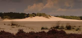 Loonse en Drunense Duinen