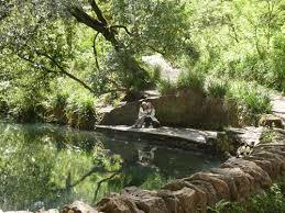 Ninesprings Country Park