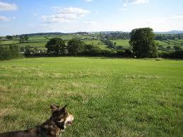 Hardington Moor National Nature Reserve