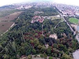 Bedechka Park