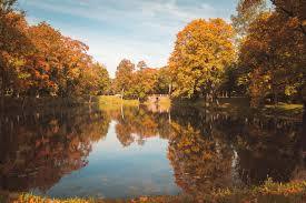 Plunge Park