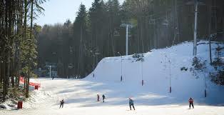 Partia de Schi Nemira