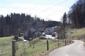 Rüsler