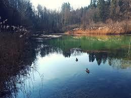 Franzosenweiher