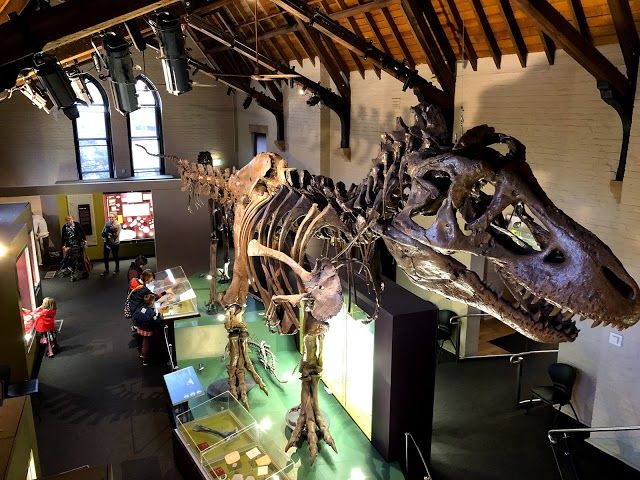 Australian Fossil and Mineral Museum