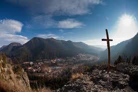 Das Naturschutzgebiet Falkenstein