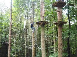 Go Ape