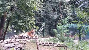 Zoo Barlad