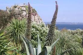 Jardin Exotique et Botanique de Roscoff