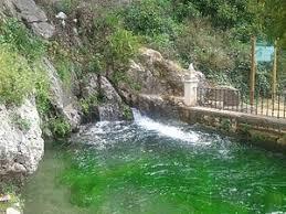 Parque Municipal de la Fuente del Río