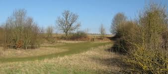 Bunker's Park Open Space