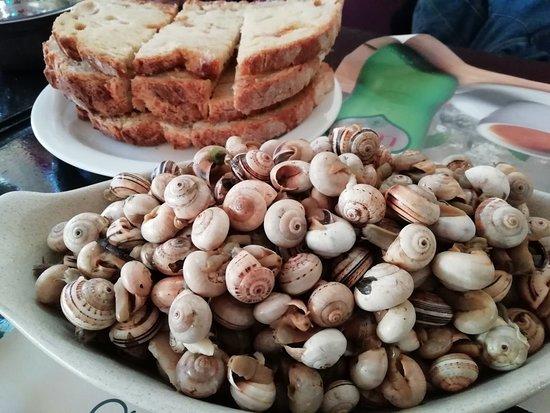 O Holandes dos Caracois