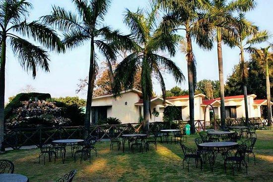 The Palms Resort