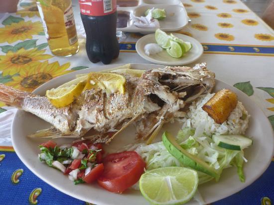 Los Bacalares